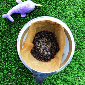 BREWING GNARWHAL COFFEE